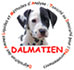 W-Logo-Dalmatien
